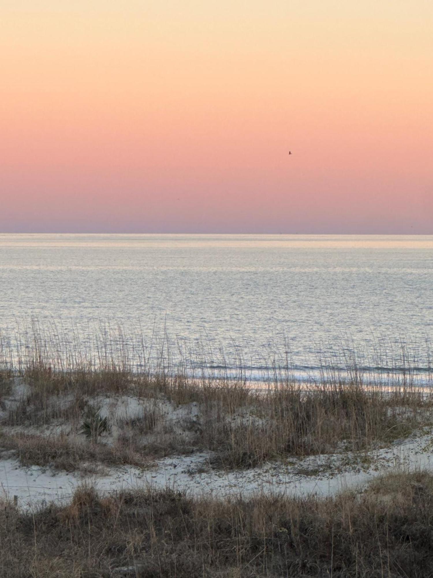 Apartment Ocean View- King - Romantic Couples Oasis - Private Access To Beach!